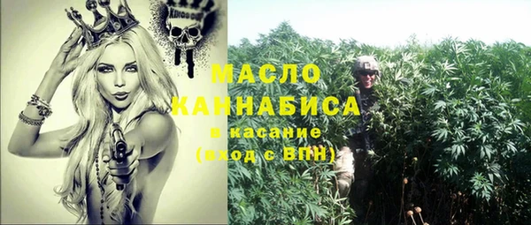 твердый Сясьстрой