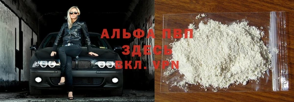 твердый Сясьстрой