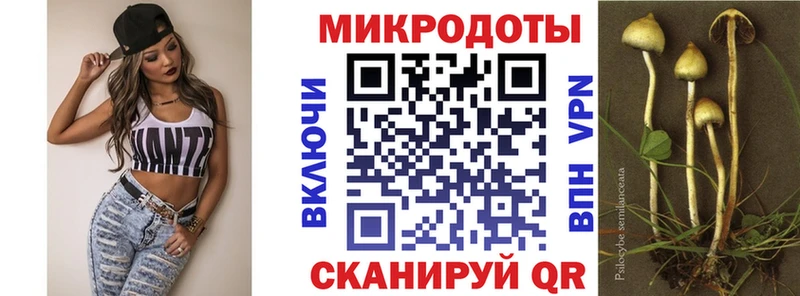 Псилоцибиновые грибы Magic Shrooms купить закладку Певек